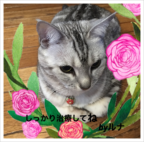 B2CABD3D-34D8-418C-A1AF-7C6EFF232486.png