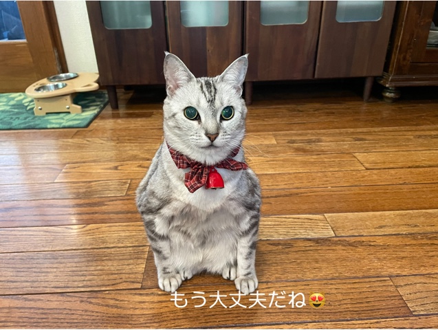 9B6538D2-76FD-49D0-B392-612C2DE2E9A8.jpeg