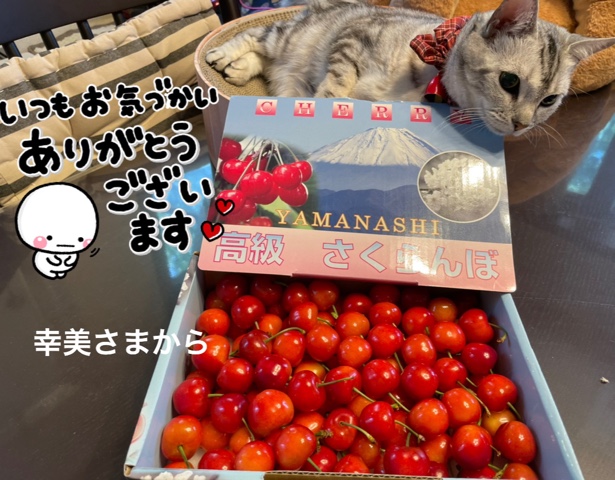 66C4A88D-37D6-44EF-B990-7438FF03E4C4.jpeg