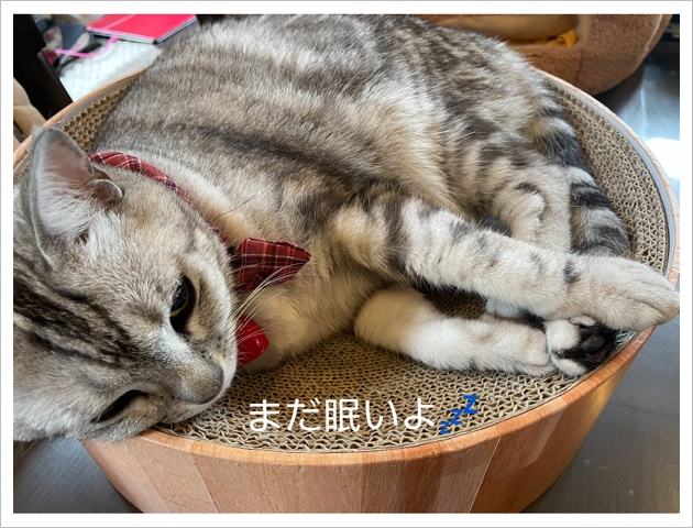 40CEE6EC-5209-40DD-8390-753DBC872C43.jpeg
