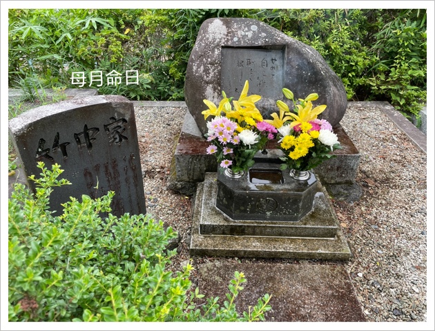 0A9AFAF3-6C04-4983-B49F-7436B9265A69.jpeg