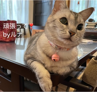 A5C2914E-9C48-478E-AE17-C44C49650800.jpeg