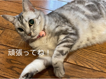 71A565EC-CE5C-46A6-B87C-969D92F2FB62.jpeg