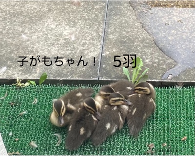 682F4F23-1279-43D9-95D4-21E1F336909F.jpeg