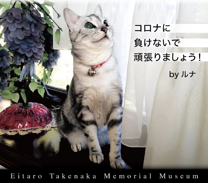 3A6B5D5A-F7D9-4D9F-9A47-6DF4A26A7101.jpeg