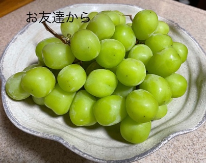 D21E13E3-5E01-4293-9536-7DBC07EC5AB7.jpeg