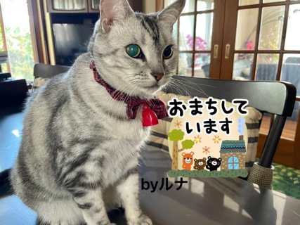 EDCF97EE-2B2B-49DD-81E3-8E25D8F9CEDF.jpeg