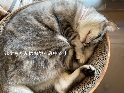 1F8500B5-67FF-448E-8B65-26B003A3C88D.jpeg