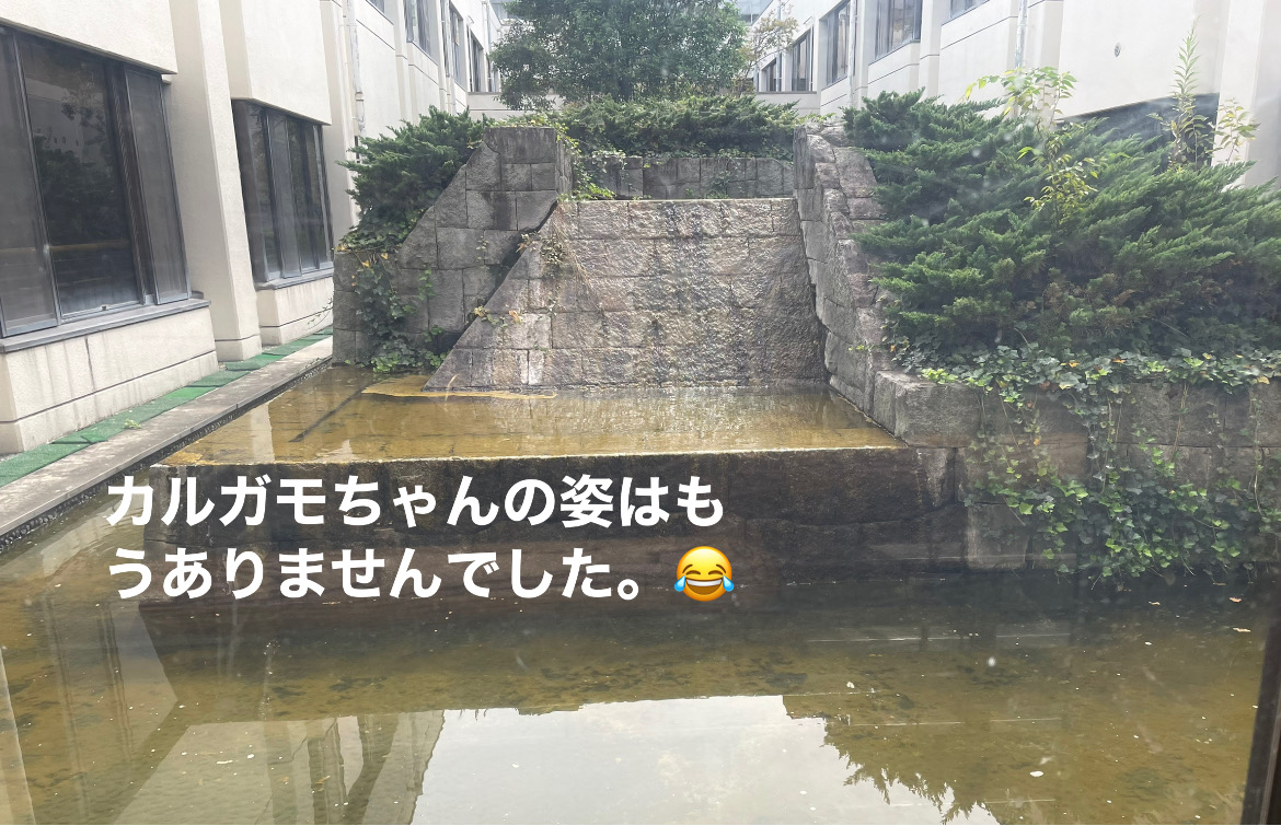 C9E90DAF-390F-47EE-B716-4C6DE84830A1.jpeg