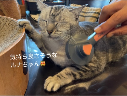 1F0394F7-2678-469F-AEF6-18A9010A7C61.jpeg