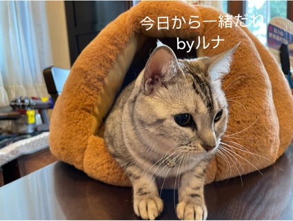 82F31477-BDF0-4C9F-8052-A85345FE0267.jpeg