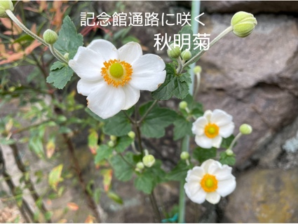 7754F047-1FF5-43FC-87BE-A3513AF2F765.jpeg