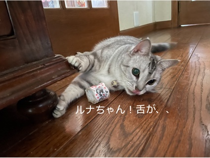 CD9941C0-3C49-441A-B42C-8498BD72CBC8.jpeg