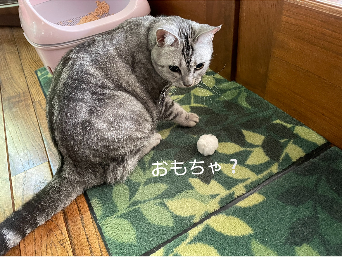 1F418DA8-5D17-4DDC-B949-4D57A37F1F8E.jpeg