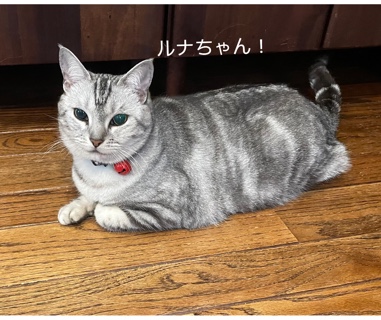 44314DF8-533B-4251-8EFB-4D2E42145E48.jpeg