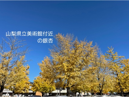 F384EA02-07DF-414E-B7AB-A2F1C63BE394.jpeg