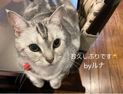 お久しぶりです by ルナ 9BCDB517-4DB3-4968-80D4-673C6DA5A53A.jpeg