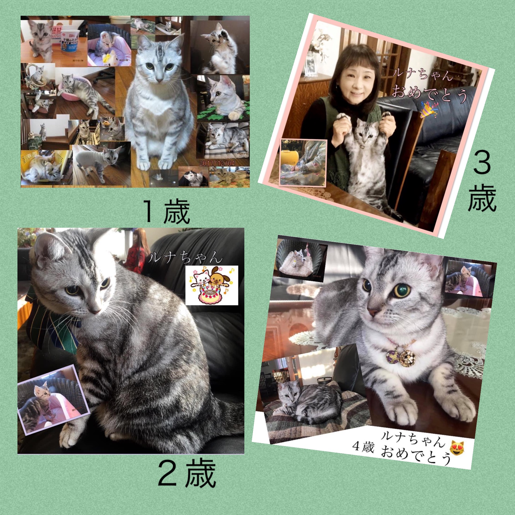 1EB2EA42-4B30-487D-BCAB-91A9C2F2ED15.jpeg