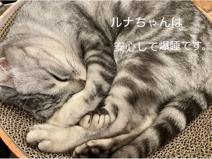 3D56EB1B-A843-4672-A619-21443D81EDD0.jpeg