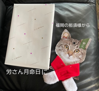 C6986D7F-A5E3-4F99-B6A3-AAAB7271ED92.jpeg