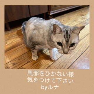 5E6F74C0-16D5-43F7-89FC-AAA86087B0BA.jpeg