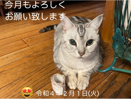 E98FEB2C-6BCB-4DF8-860C-74BA8DC5F82A.jpeg