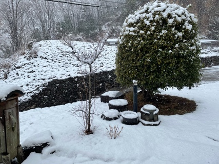 お庭の雪 C7D68FE6-B077-4987-9B2E-4A1A9EC083A0.jpeg