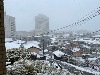 街の雪景色 BEE13FD9-1B7D-4C1A-BC6C-E5FD6E012E0C.jpeg