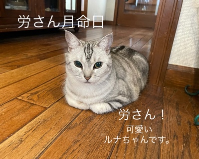 480CA58D-E63F-456E-9C67-B89DCEEF4643.jpeg