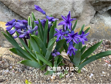 D290AFAA-69E9-42FE-8C24-2A4D5947C9CD.jpeg