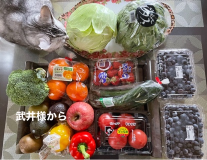2ED25B1C-D10D-4D38-BC50-15507ED238B3.jpeg