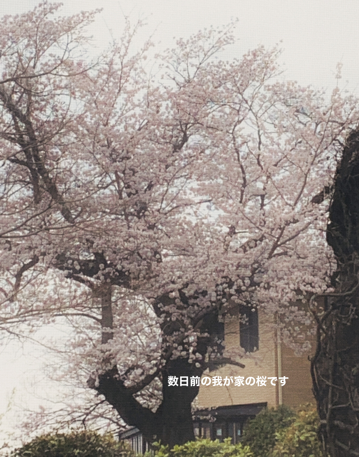 800A020B-994A-4E60-8D61-BA4610F70903.jpeg