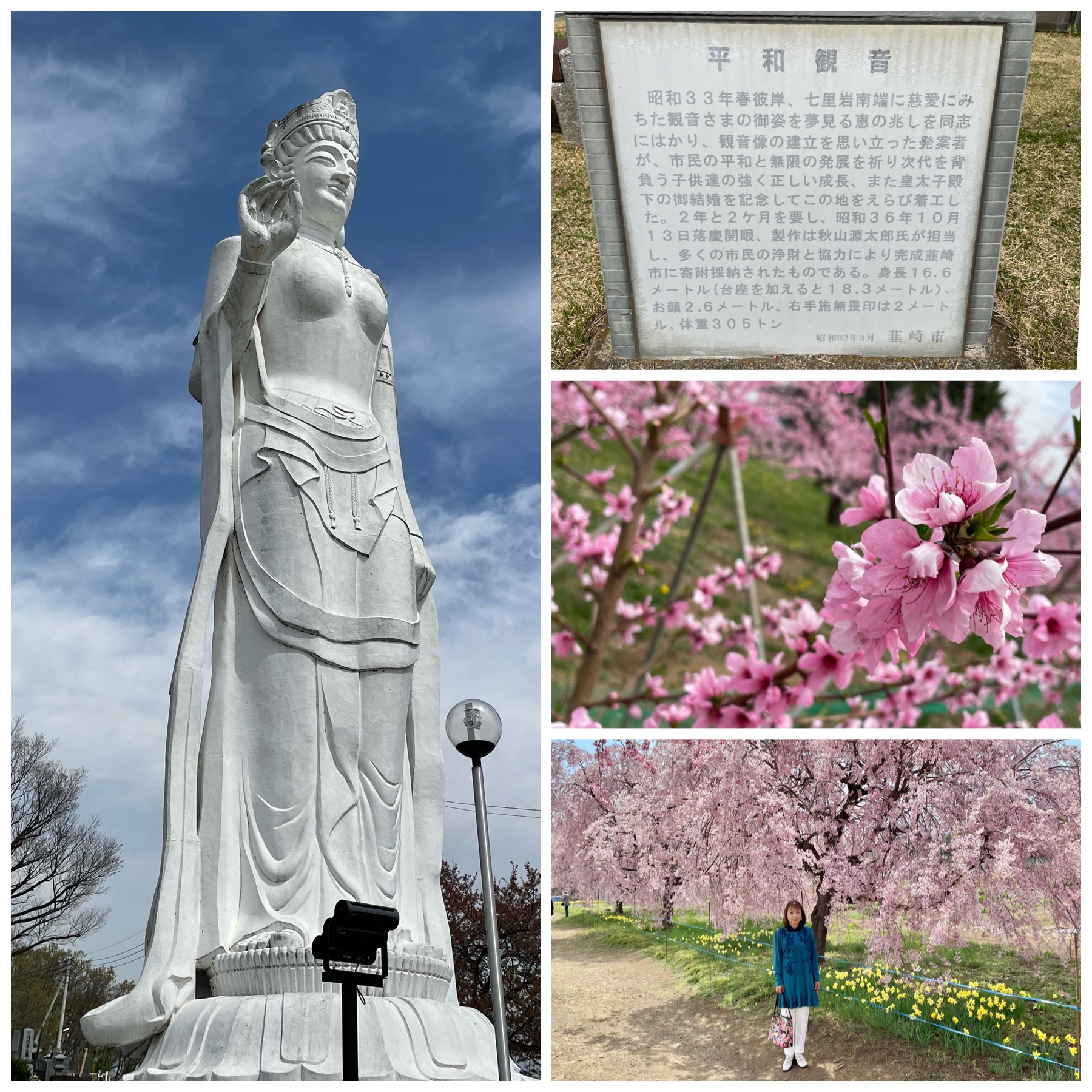 9E51D032-5D77-4A17-A93A-31A43651C10B.jpeg