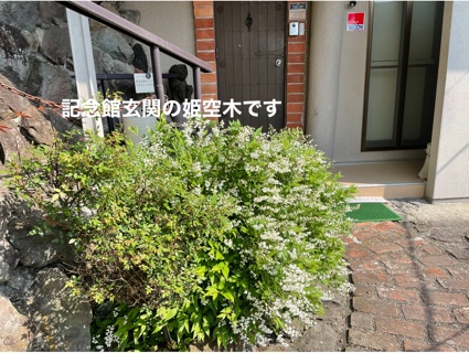 797A3CA9-39F2-4B73-BACA-BD5B0212244E.jpeg