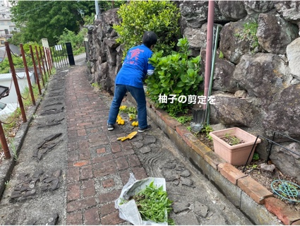 柚子の剪定を 15126FE3-D064-4931-B3C8-E41163785956.jpeg