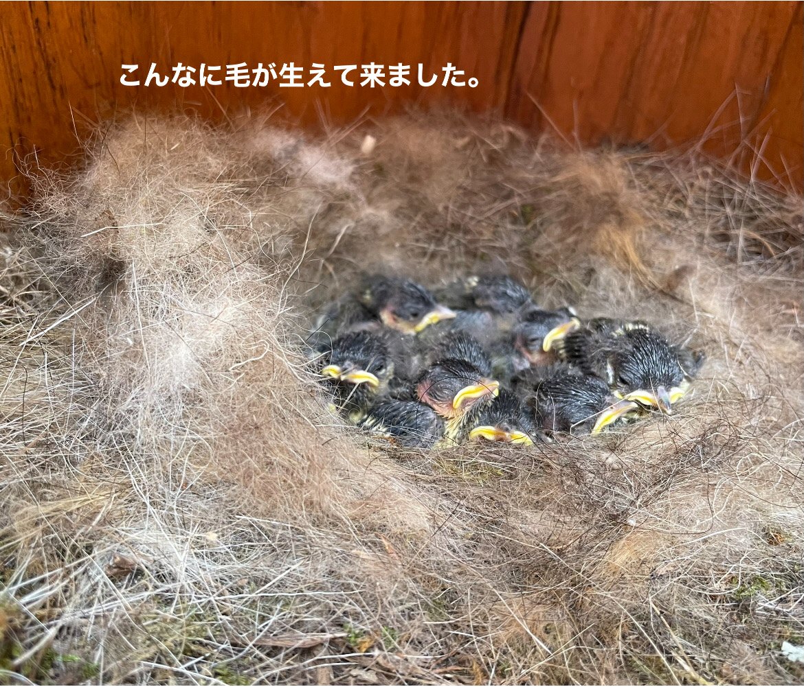 BD9FE080-3E64-4D0C-8AEB-7732CA765878.jpeg