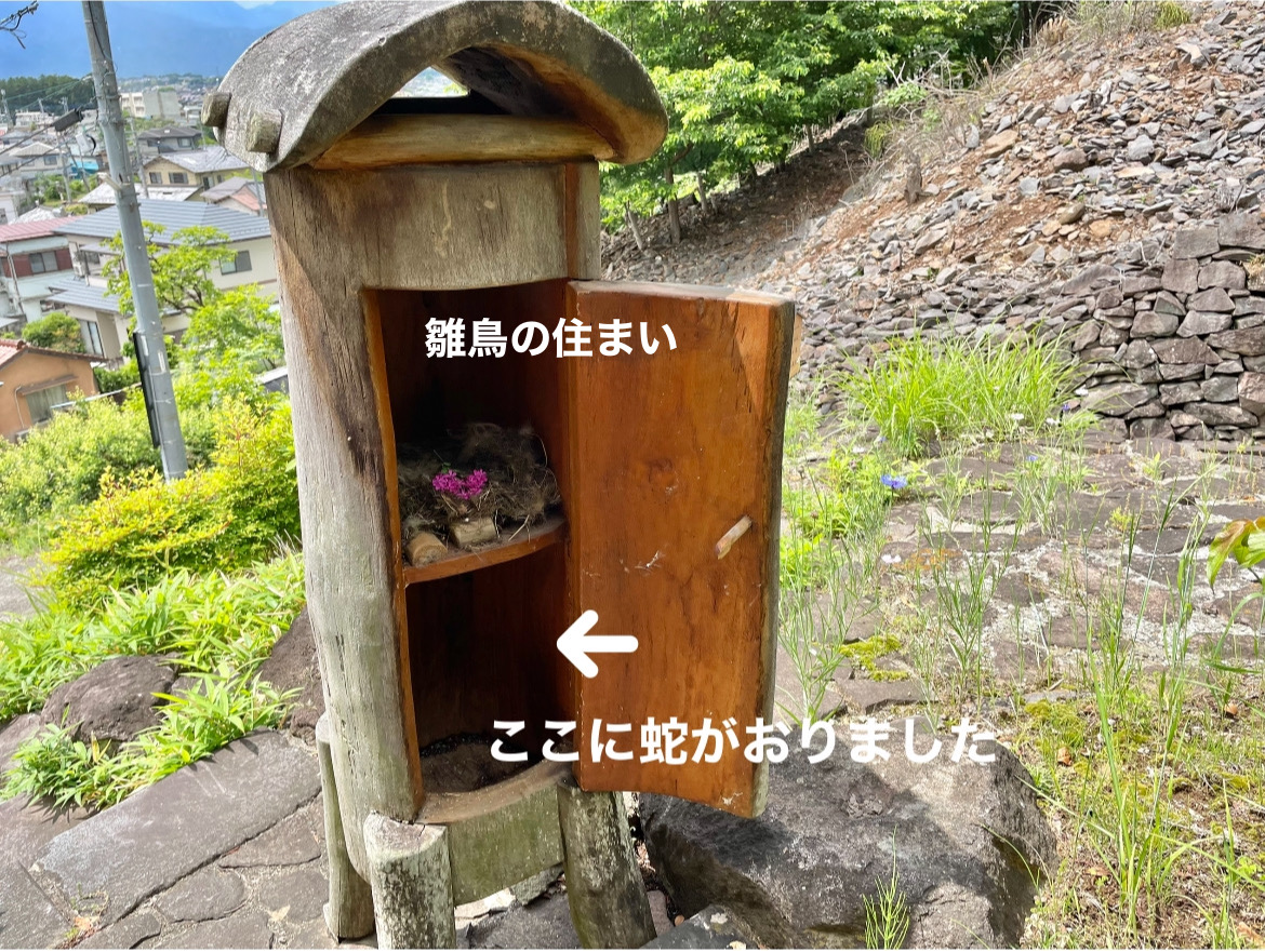8FE456B7-317A-44EA-9F81-D3A4919730DA.jpeg
