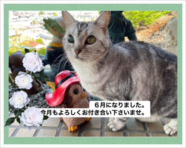 D3992E78-6BC4-4AA0-9C55-6A29E35A771F.jpeg