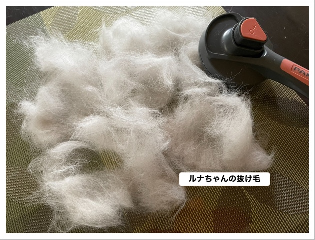 DA991CAD-30B7-4F0D-AC6A-31BE06F052C0.jpeg
