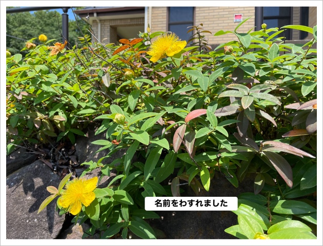 7F3660C9-AD80-4B37-ACED-EFC6C22FA12F.jpeg