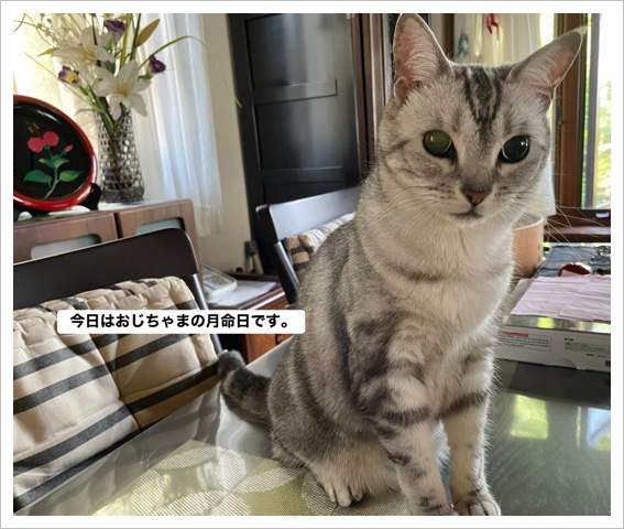 B55870A9-9718-4588-B6E6-3316223F70CA.jpeg