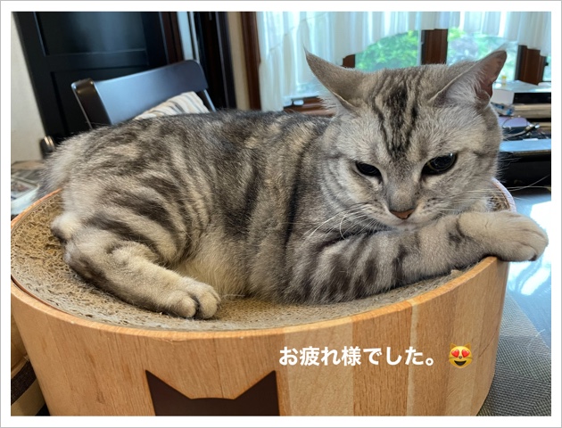 719F1A39-3755-4C23-907A-6EE1710E0BD3.jpeg