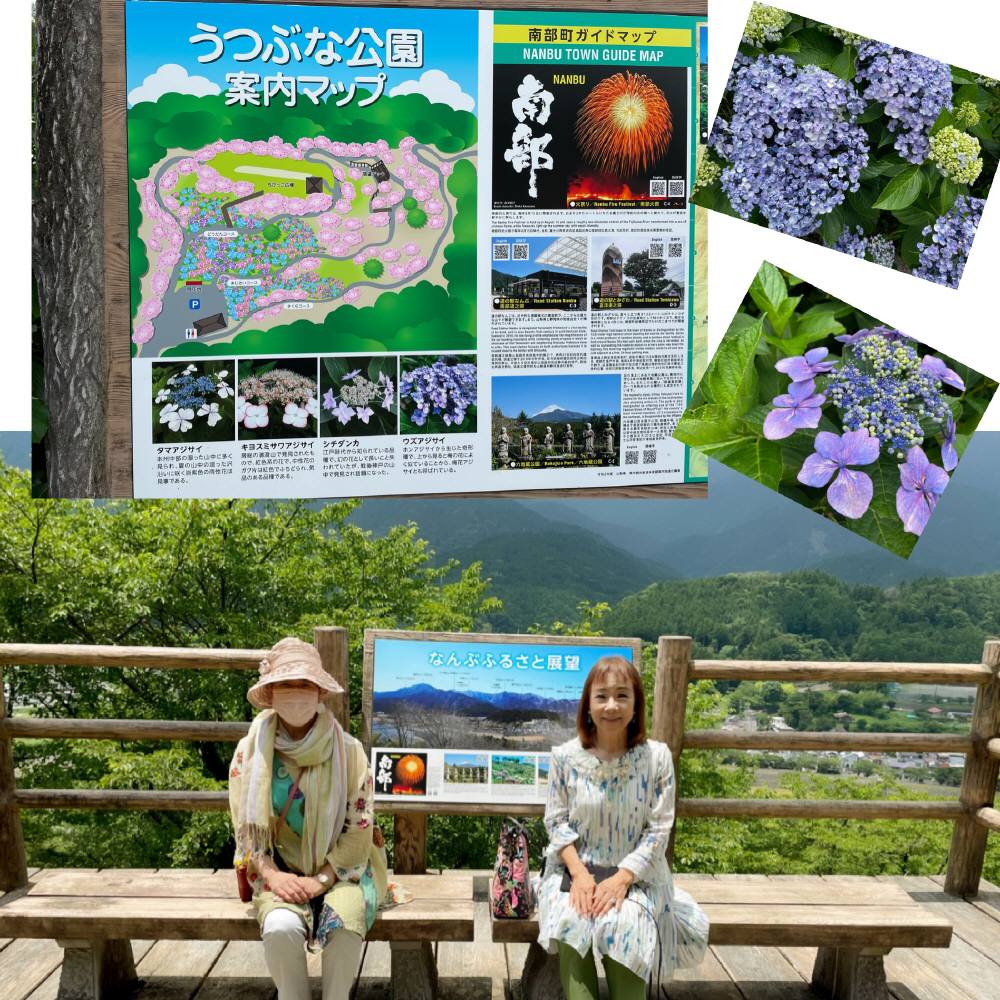 C708BDD8-4B9B-4381-85B8-C8BFD643D5F5.jpeg