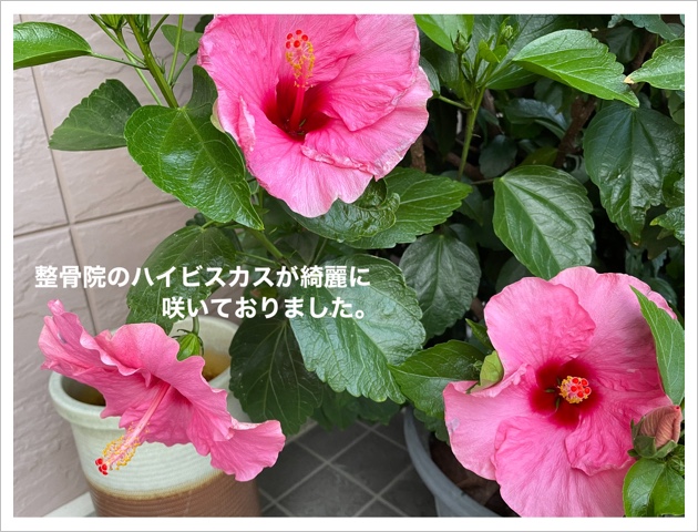 0E8B2490-F681-4D1A-84D1-4EB40D03CE24.jpeg