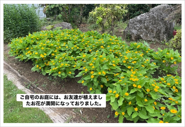 9C1C15ED-A011-4F0E-A0BC-D4416C61926D.jpeg