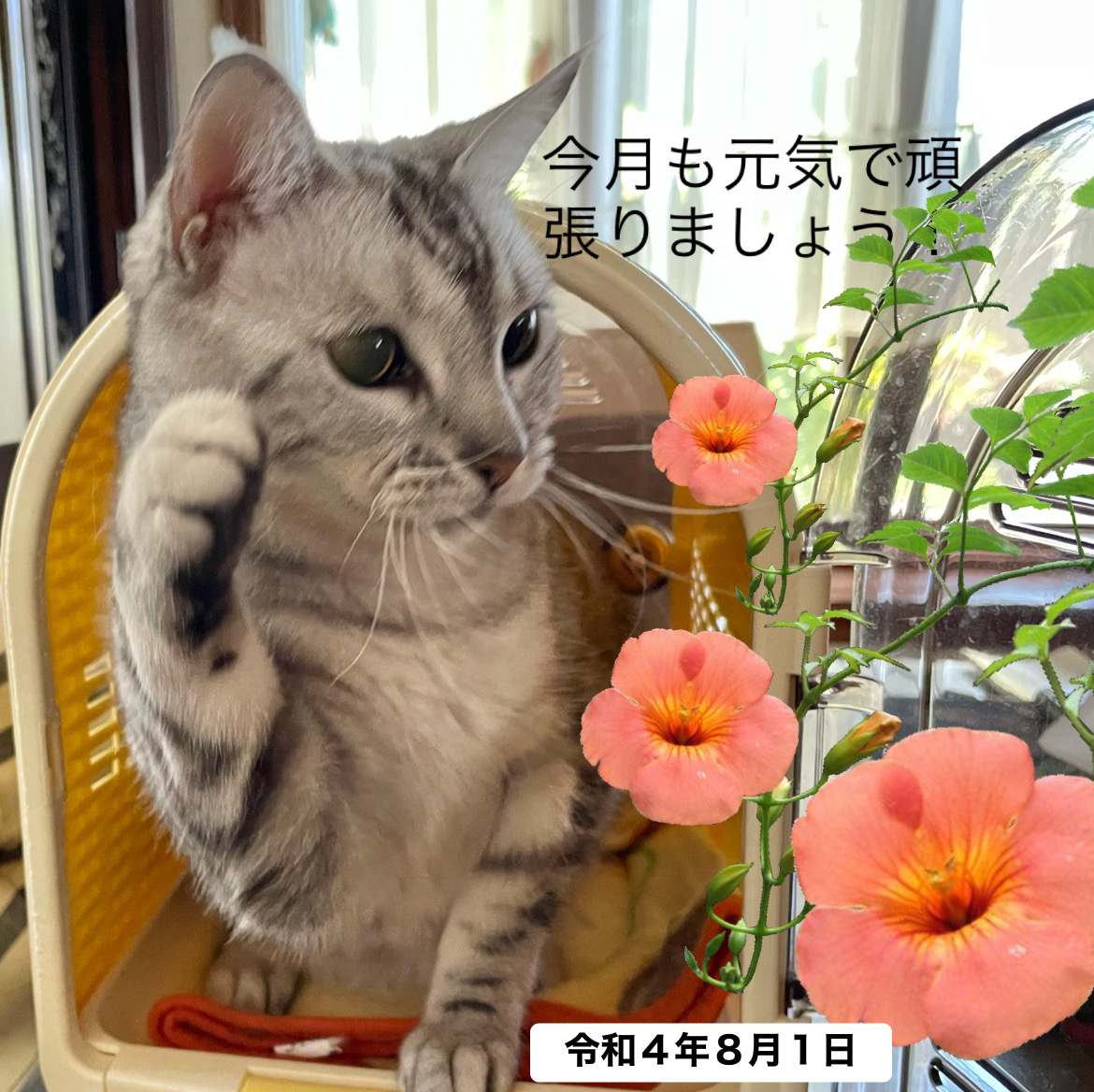 80AE70E7-437D-49A8-A006-51B0C2B8597B.jpeg