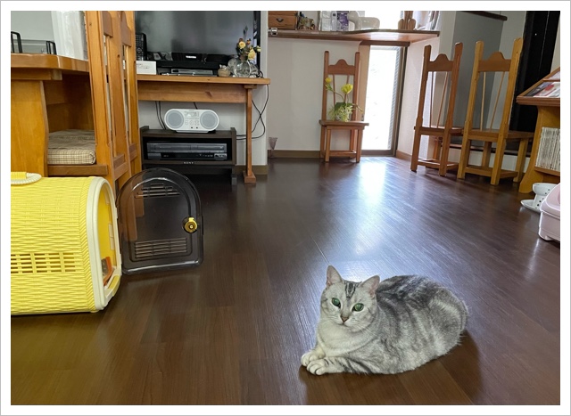 6E8DDE16-695F-428C-8E30-B049C42FE5D3.jpeg
