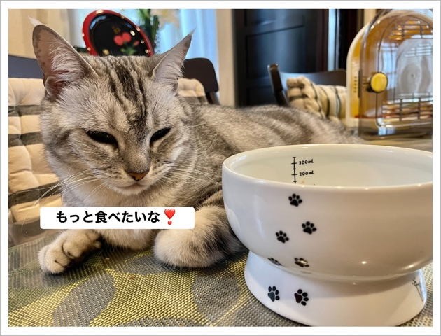 833C96ED-AF7D-4699-BA23-3FC9BF9B2959.jpeg