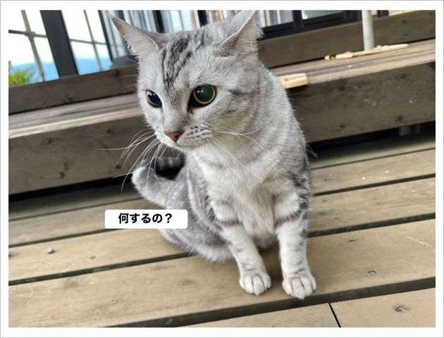 8D90CAE6-9471-4A9C-9CBE-AA0F34700227.jpeg
