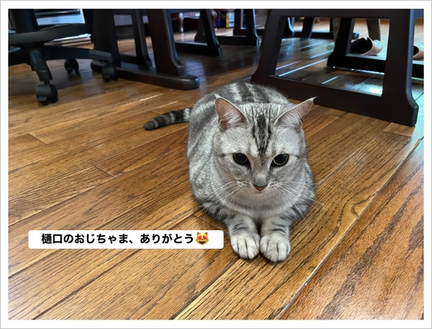 1852B830-03A5-431C-8FC0-3BA4C5378DD7.jpeg